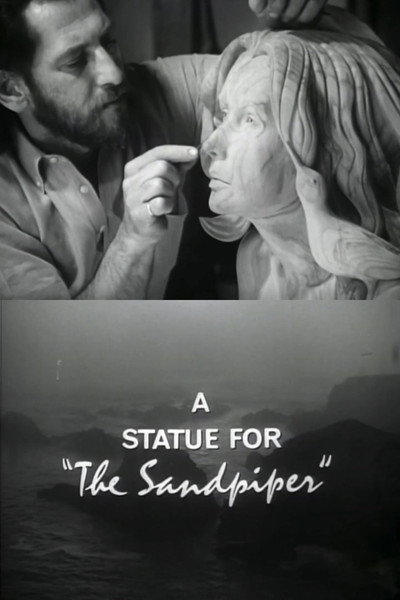 Póster de A Statue for 'the Sandpiper'