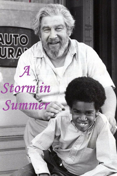 Póster de A Storm in Summer
