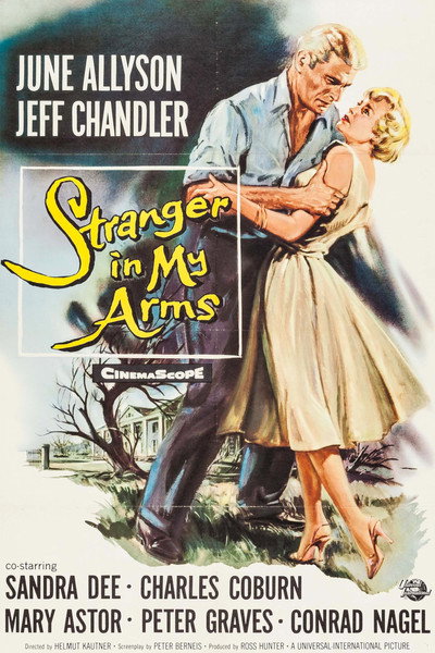 Póster de A Stranger in My Arms
