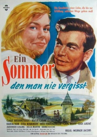 Póster de A Summer You Will Never Forget