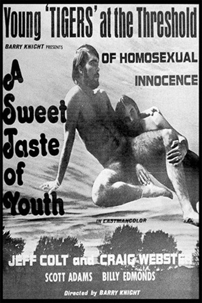 Póster de A Sweet Taste of Youth