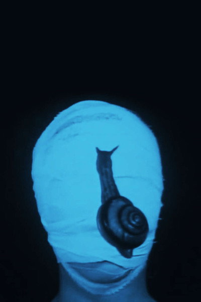 Póster de A Tale of Smallpox