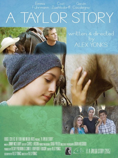 Póster de A Taylor Story