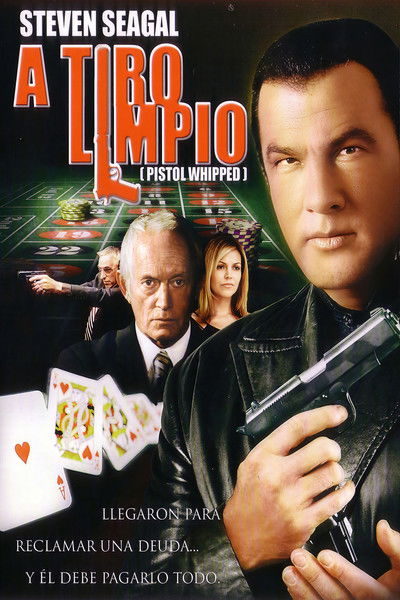 Póster de A tiro limpio