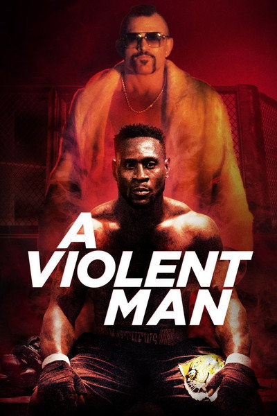 Póster de A Violent Man