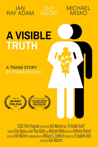 Póster de A Visible Truth