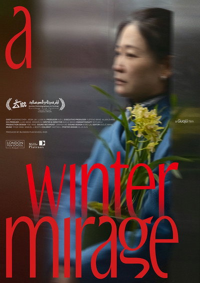 Póster de A Winter Mirage