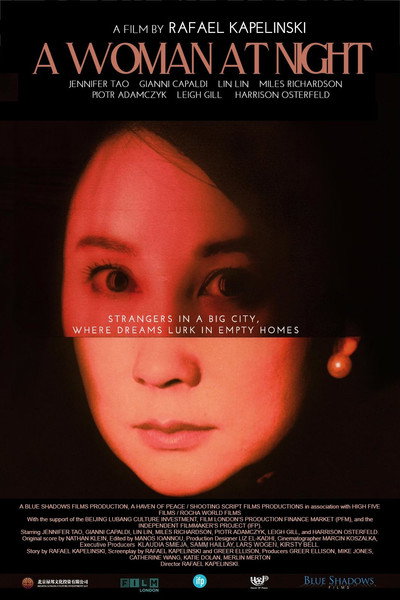 Póster de A Woman at Night