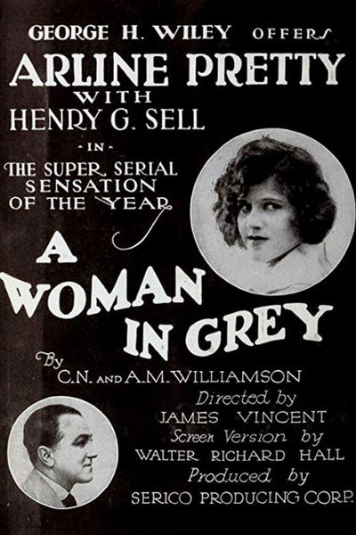 Póster de A Woman in Grey