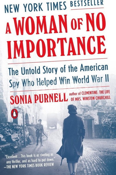 Póster de A Woman of No Importance
