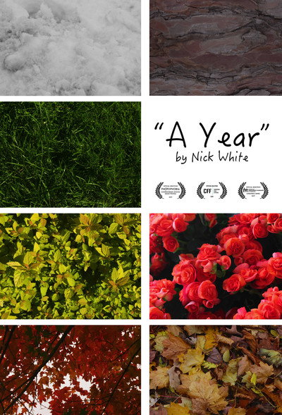 Póster de A Year
