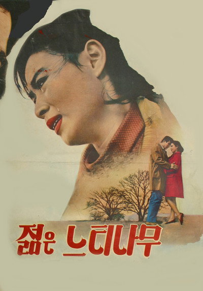 Póster de A Young Zelkova