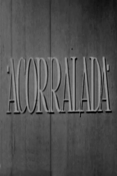 Póster de Acorralada