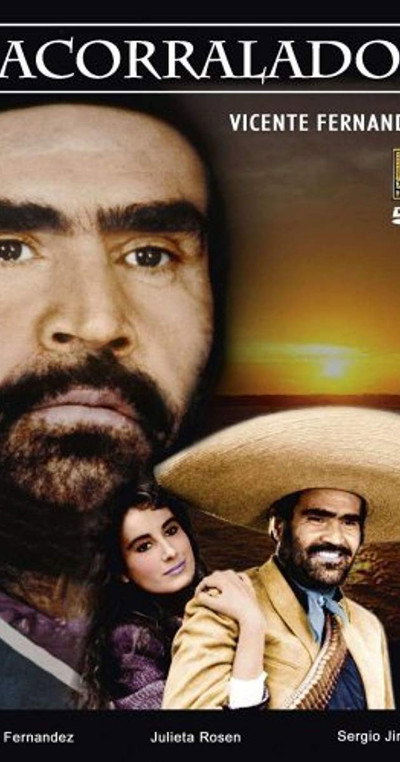 Póster de Acorralado