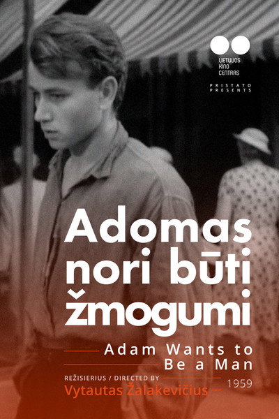 Póster de Adam Wants to Be a Man