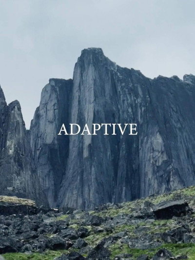 Póster de Adaptive