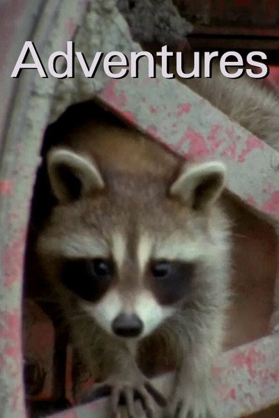 Póster de Adventures