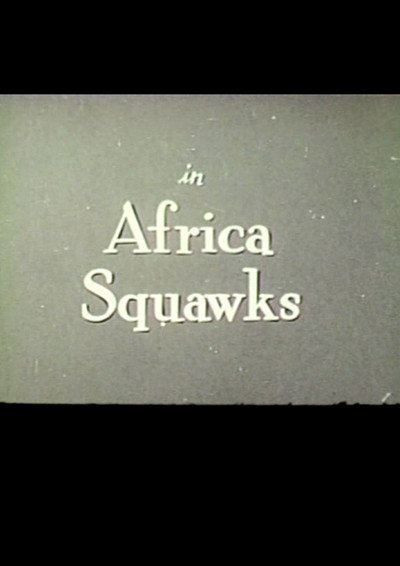 Póster de Africa Squawks