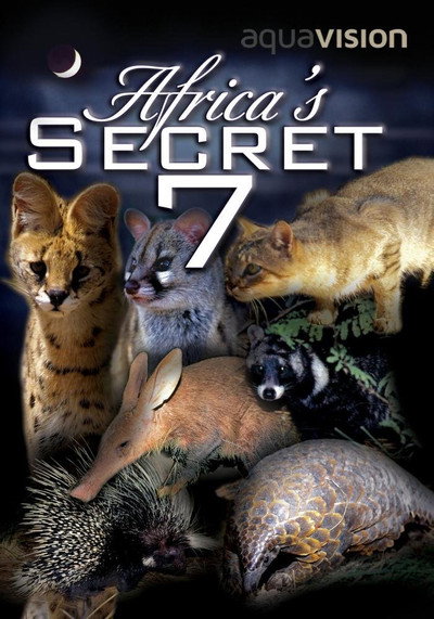 Póster de Africa's Secret Seven