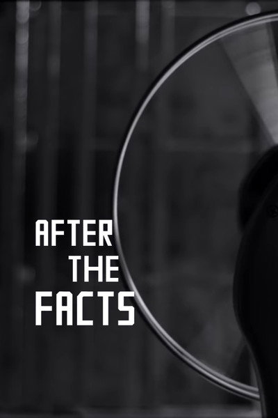 Póster de After the Facts