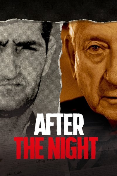 Póster de After the Night