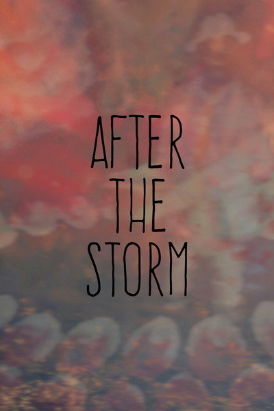 Póster de After the Storm