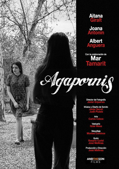 Póster de Agapornis