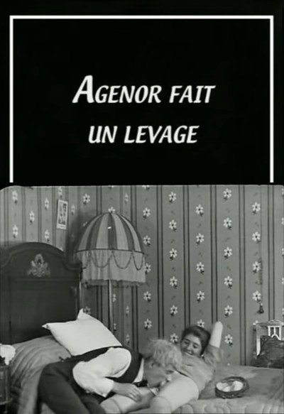 Póster de Agénor fait un levage