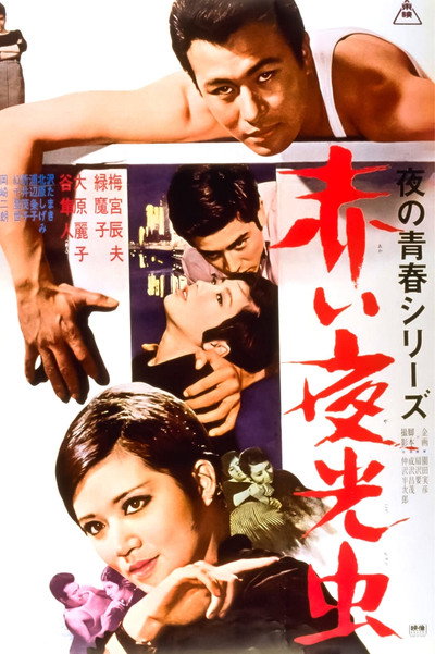 Póster de Akai yakôchû