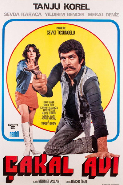 Póster de Çakal Avi