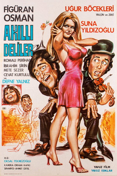 Póster de Akilli Deliler