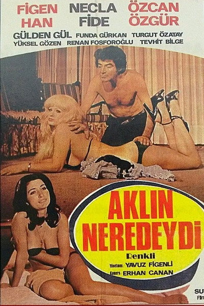 Póster de Aklin Neredeydi
