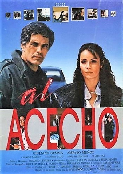Póster de Al acecho