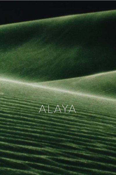 Póster de Alaya