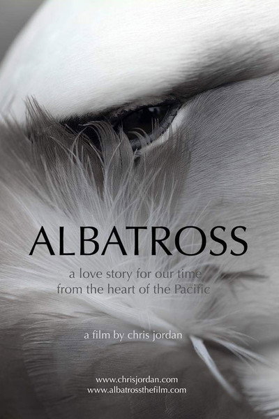 Póster de Albatross
