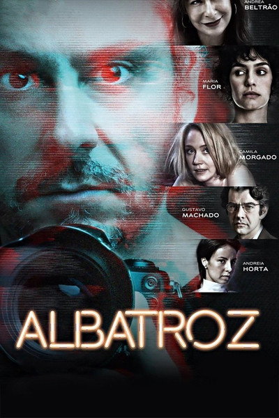Póster de Albatroz
