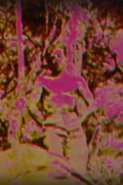 Póster de Album