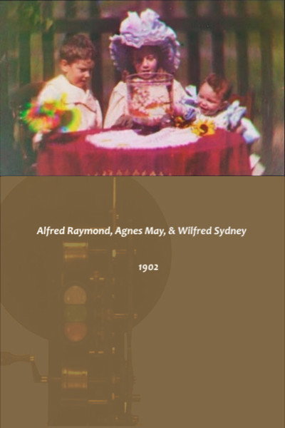 Póster de Alfred Raymond Turner, Agnes May Turner and Wilfred Sidney Turner