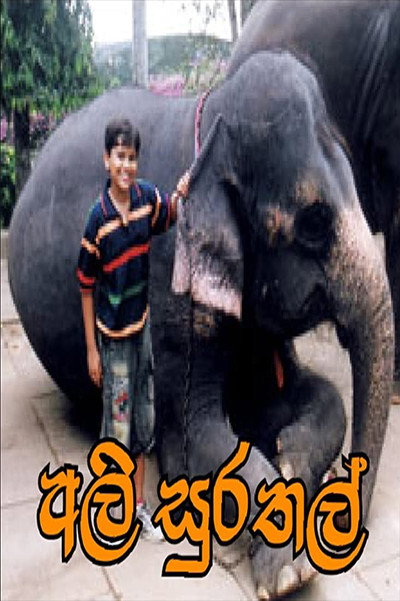 Póster de Ali Surathal