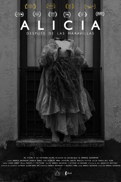 Póster de Alice after Wonderland