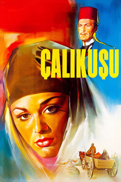 Póster de Çalikusu