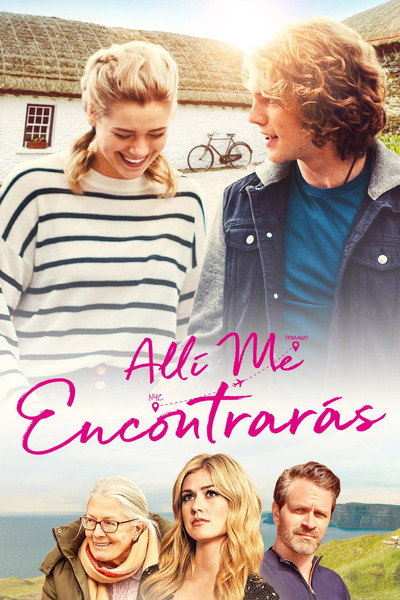 Póster de Allí me encontrarás