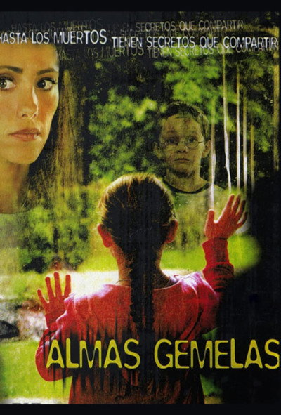 Póster de Almas gemelas