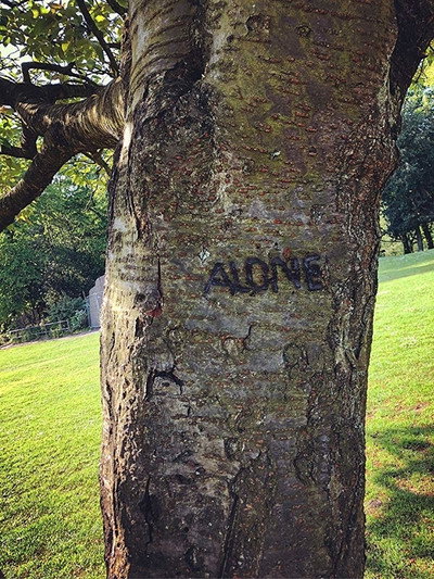 Póster de Alone