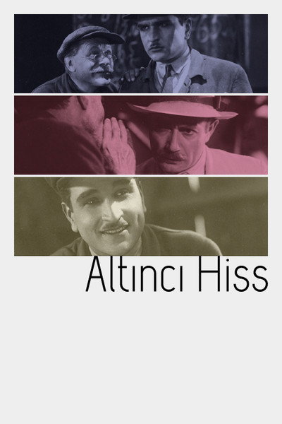 Póster de Altinci hiss