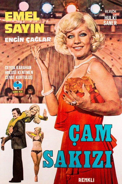 Póster de Çam Sakizi