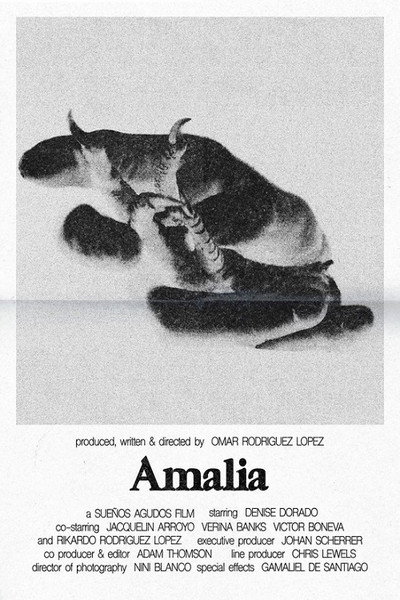 Póster de Amalia