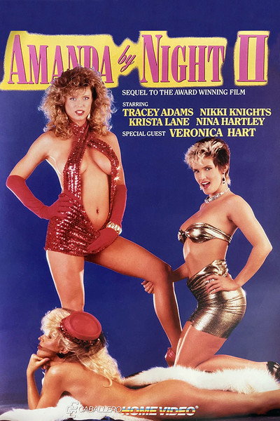 Póster de Amanda by Night 2