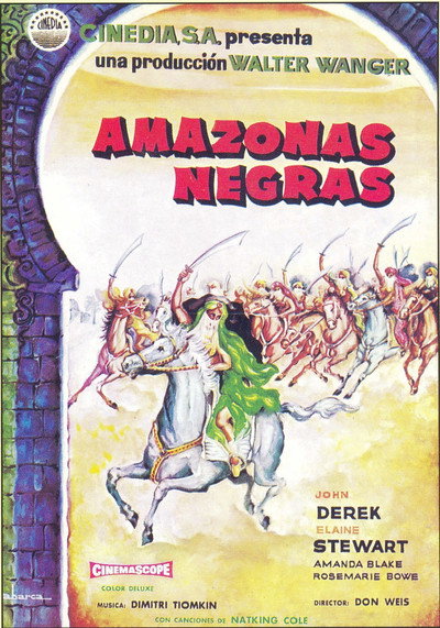 Póster de Amazonas negras