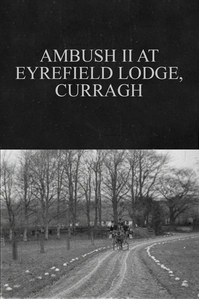 Póster de Ambush II at Eyrefield Lodge, Curragh